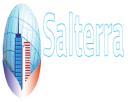 Salterra Affordable SEO logo